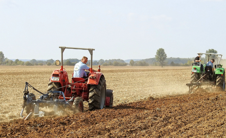 Agriculture fuels export boom