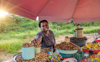 Boosting women’s employment could lift Pacific growth: World Bank