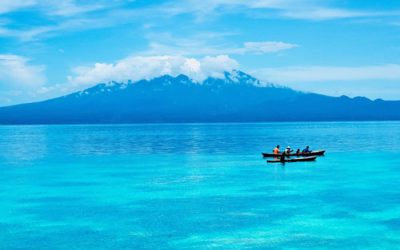 New Kolombangara investment focuses on land and forestry development