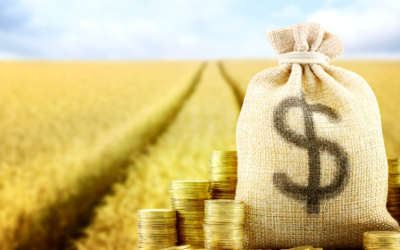 World Bank backs US$250m agriculture push