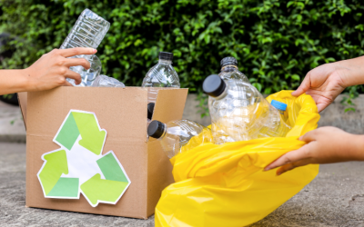Waste-to-energy proposal sparks growing opposition and debate